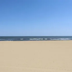 oceanfront-beach-dolphins.hotels-in-virginia-beach.com/